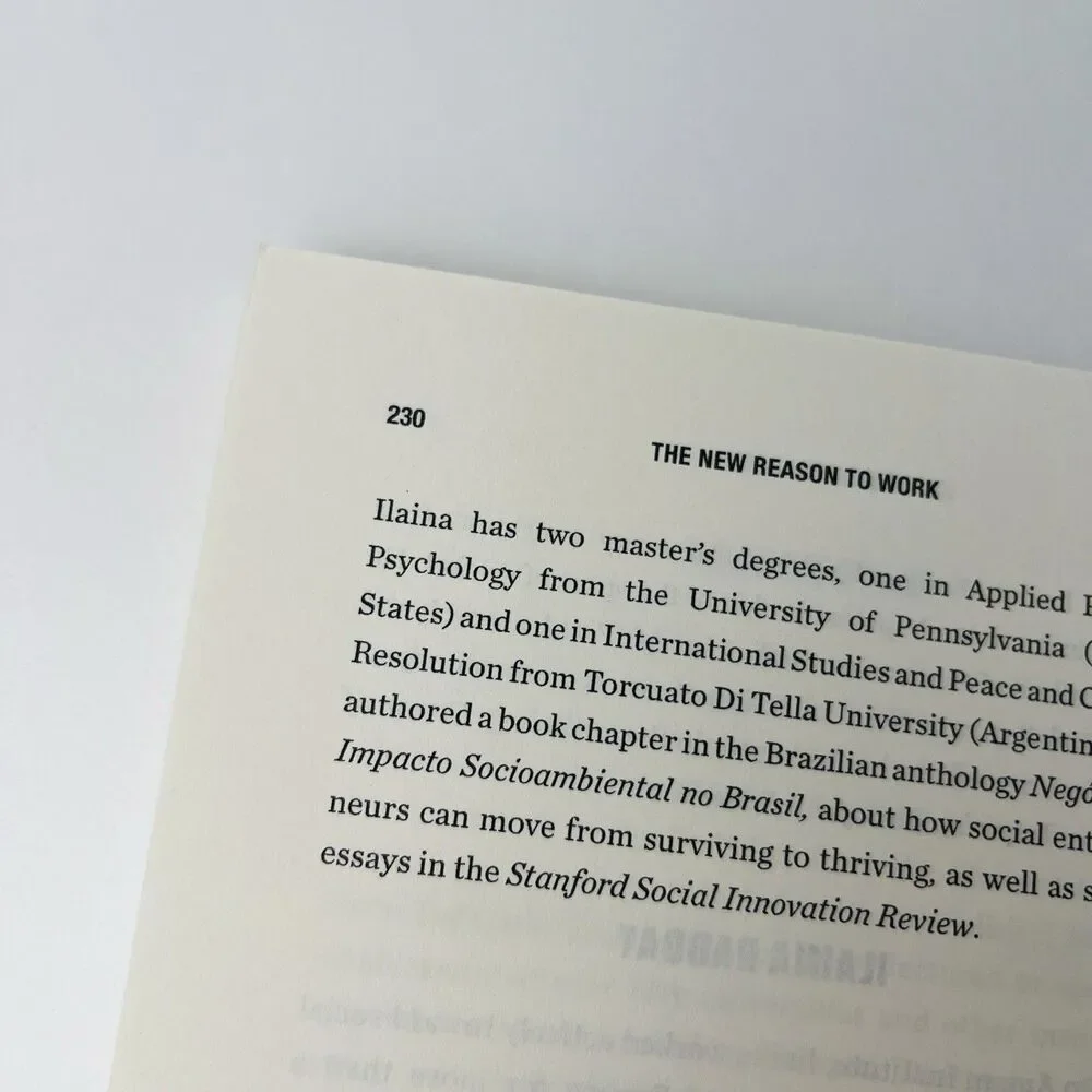The New Reason to Work: How to Build a Career That Will Change the World by Paul